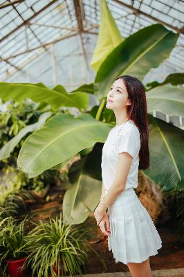 一线产区和二线产区的标准图