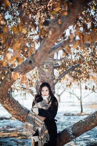 青青草视频在线观看