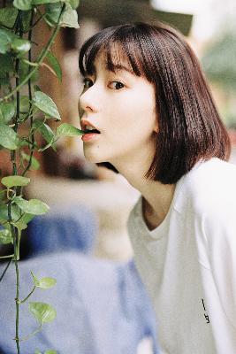 中文免费高清在线看电视剧