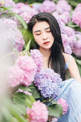 沉默的荣耀电视剧免费观看