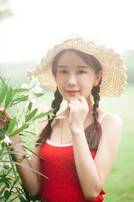 中文免费高清在线看电视剧