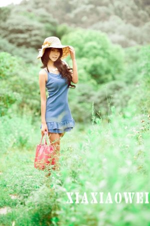 最美的青春电视剧全集免费观看