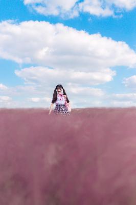 师兄啊师兄动漫全集免费观看