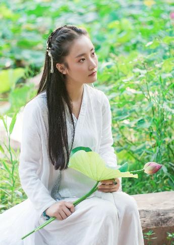 免费观看电视剧全集在线播放高清