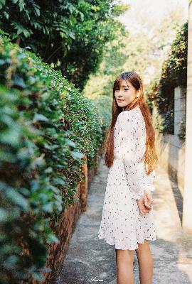 老牛影院在线播放免费高清电视剧