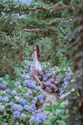 女人高清免费观看在线播放电视剧狂