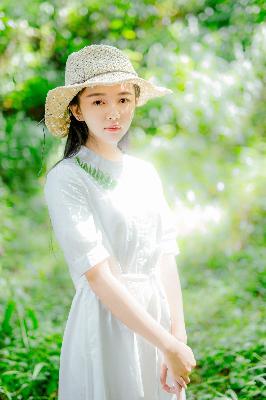 免费高清电影在线完整播放